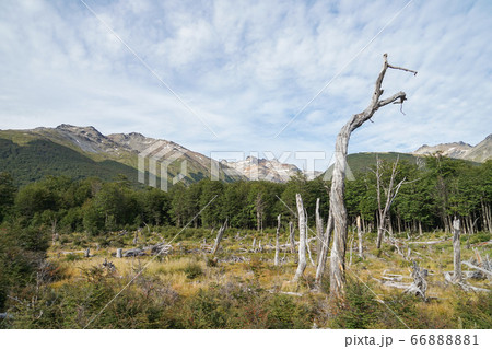 エスメラルダ湖へのトレッキングコース 66888881