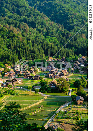 初夏の白川郷(夕暮れ) 初夏の白川郷(夕暮れ) 66888918
