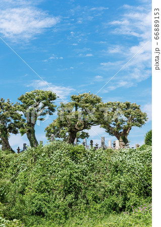 田舎の山頂の墓地　日本の原風景　先人の心を偲んで　 66889153
