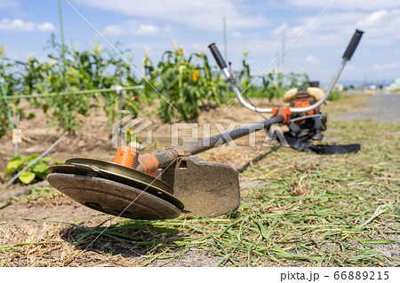 農作業 草刈り作業イメージ 草刈機 農作業 草刈り作業イメージ 草刈機 66889215