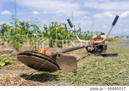 農作業　草刈り作業イメージ　草刈機 66889217
