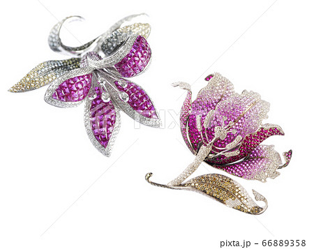 Leaf brooch on white background 66889358