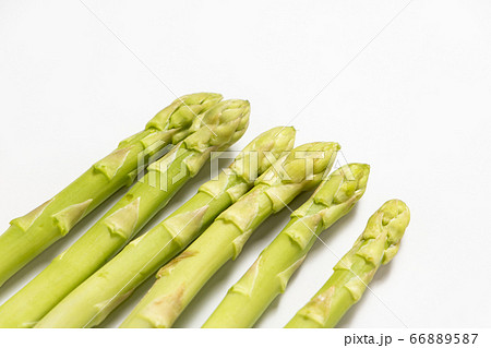 アスパラガス(グリーンアスパラガス)。(白バック) 66889587