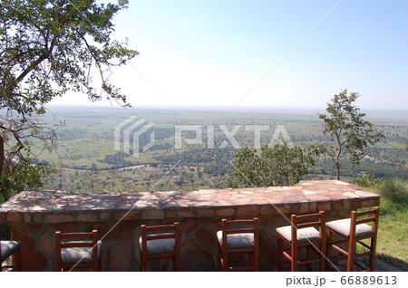 アフリカサバンナ 66889613
