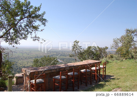 アフリカサバンナ 66889614