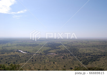 アフリカサバンナ アフリカサバンナ 66889615