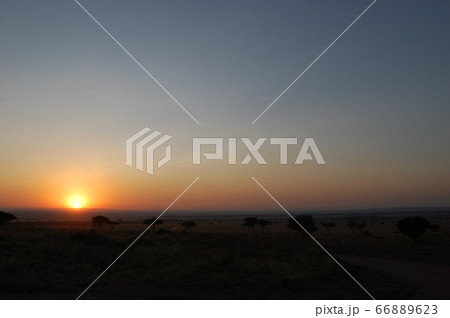 アフリカサバンナ 66889623