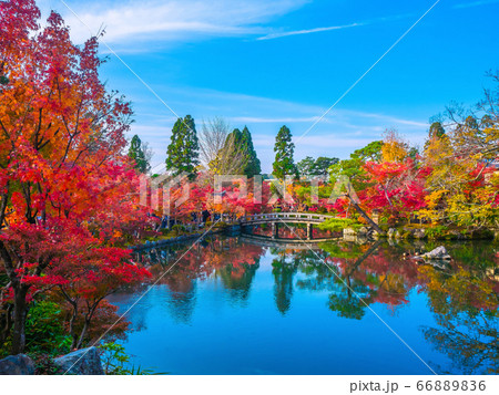 永観堂の紅葉 永観堂の紅葉 66889836