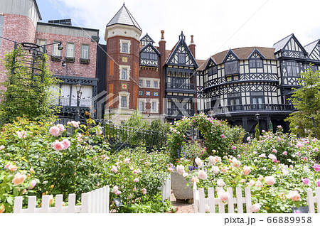 初夏の白い恋人パーク 初夏の白い恋人パーク 66889958