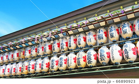 湯島天神例大祭(2019年) 湯島天神例大祭(2019年) 66890923