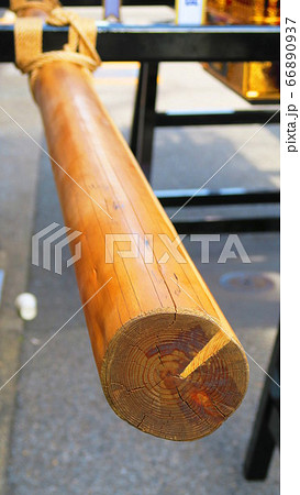 湯島天神例大祭(2019年) 湯島天神例大祭(2019年) 66890937