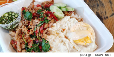 Close-up Fried organic chicken freshness basil with rice, slide cucumber and oily fried egg , seasoning spicy saltd fish sauce on ceramic plate at fusion gourmet cafe restaurant, food stylist Close-up Fried organic chicken freshness basil with rice, slide cucumber and oily fried egg , seasoning spicy saltd fish sauce on ceramic plate at fusion gourmet cafe restaurant, food stylist 66891061