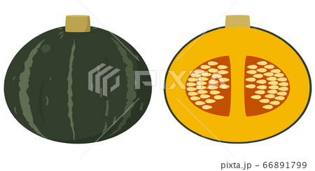 カボチャ カボチャ 66891799