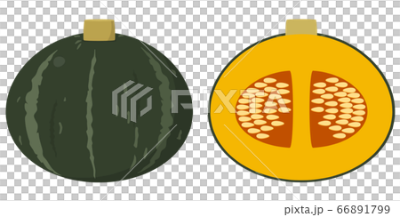 カボチャ カボチャ 66891799