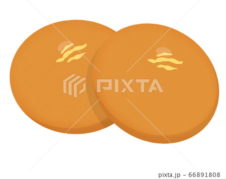 甘食 66891808
