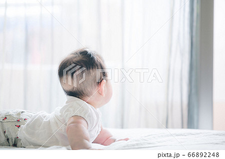 ベッドにいる赤ちゃん 後ろ姿 ベッドにいる赤ちゃん 後ろ姿 66892248