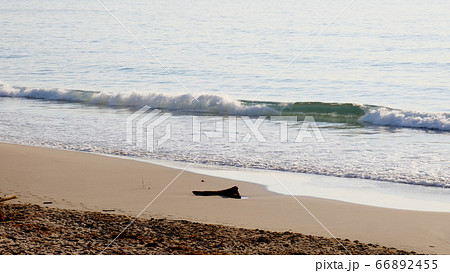南伊豆白浜大浜海水浴場 66892455
