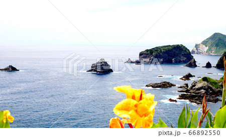 伊豆のヒリゾ浜の景色 66892550