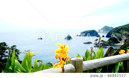 伊豆のヒリゾ浜の景色 66892557