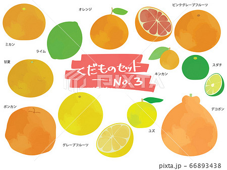 くだもの フルーツのイラストセット 3 くだもの フルーツのイラストセット 3 66893438