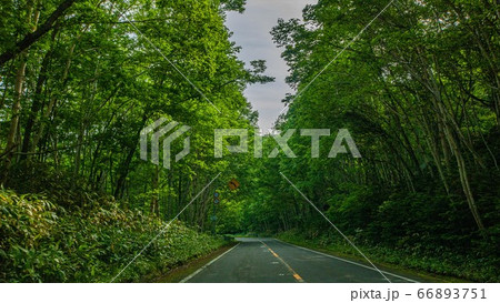 知床の風景 66893751