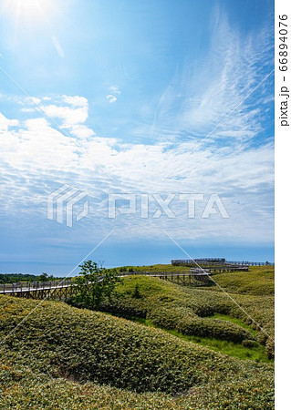 知床五湖の絶景 知床五湖の絶景 66894076