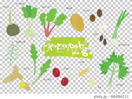 野菜のイラストセット　8 66894211