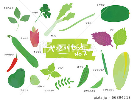 野菜のイラストセット 2のイラスト素材