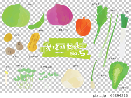 野菜のイラストセット　5 66894216