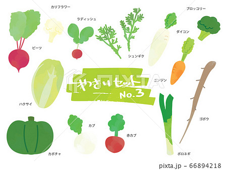 野菜のイラストセット　3 66894218