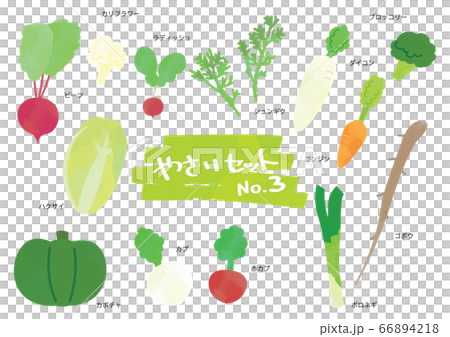 野菜のイラストセット　3 66894218