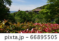 清水寺遠景 清水の舞台と三重塔 66895505