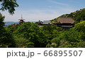 新緑の中の清水寺 遠景 66895507
