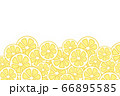 スライスしたレモンのイラスト　背景素材 66895585