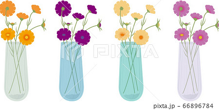 カラフルなコスモスと花瓶のイラスト素材