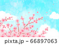 花　青空　水彩風　 66897063