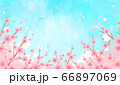 花　青空　水彩風　 66897069