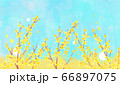 花　青空　水彩風　 66897075