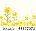 花　水彩風　 66897078