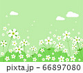 花　水彩風　 66897080