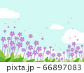 花　青空　水彩風　 66897083