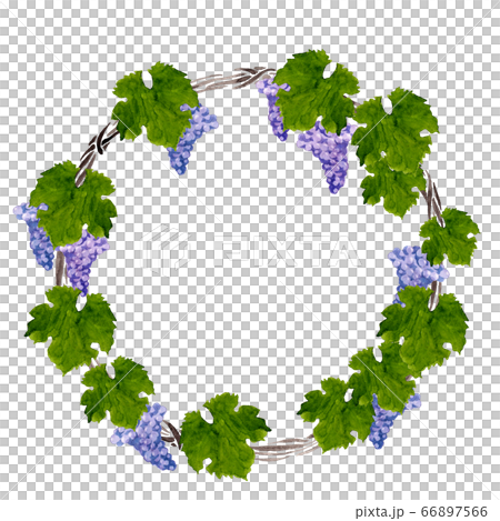 Round wreath of grapes Round wreath of grapes 66897566