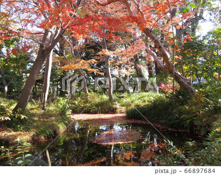 東京都大田区蘇峰公園 66897684