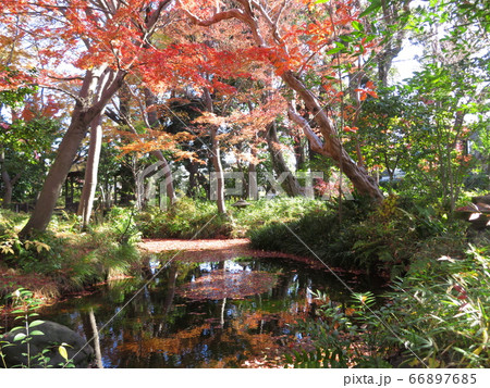 東京都大田区蘇峰公園 66897685
