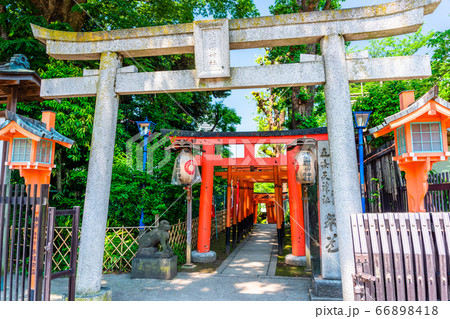 東京 上野公園 花園神社の鳥居 東京 上野公園 花園神社の鳥居 66898418