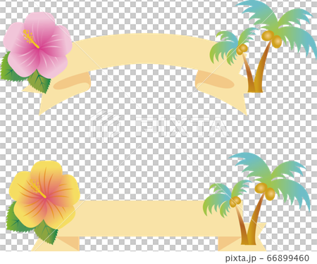 Summer hibiscus flower palm tree tropical ribbon tape illustration material set variation Summer hibiscus flower palm tree tropical ribbon tape illustration material set variation 66899460