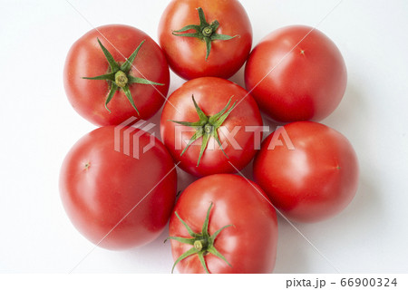 熟したトマト 熟したトマト 66900324