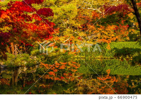 京都府蹴上の永観堂の紅葉と池 京都府蹴上の永観堂の紅葉と池 66900475
