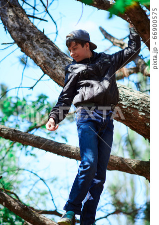 Teenage boy playing outdoor, climbing a tree, 66900575
