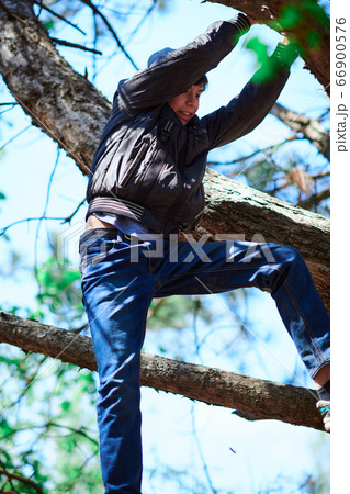 Teenage boy playing outdoor, climbing a tree, 66900576
